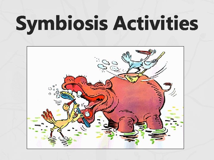 Symbiosis Activities Symbiosis Activities