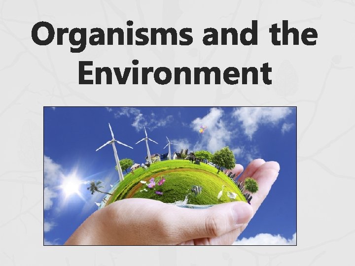 Organisms and the Environment Organisms and the Environment