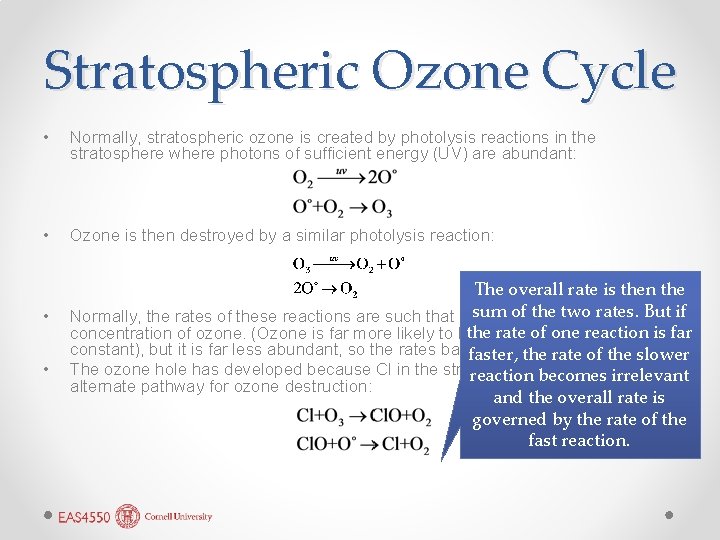 Stratospheric Ozone Cycle • Normally, stratospheric ozone is created by photolysis reactions in the
