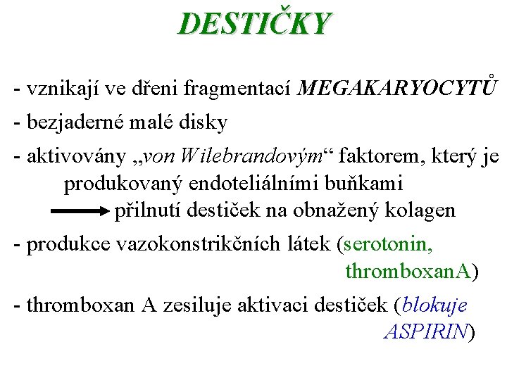 DESTIČKY - vznikají ve dřeni fragmentací MEGAKARYOCYTŮ - bezjaderné malé disky - aktivovány „von