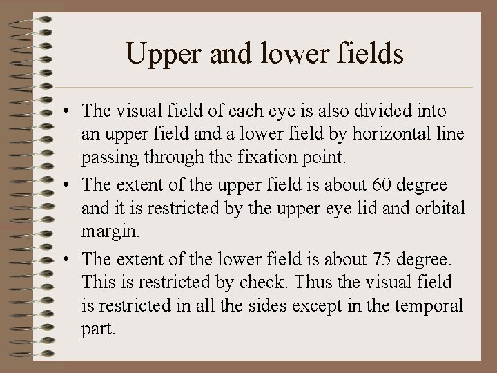 Upper and lower fields • The visual field of each eye is also divided