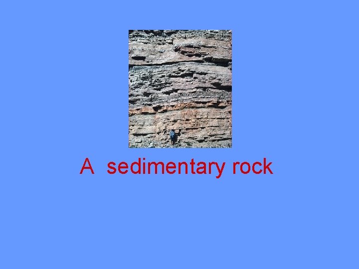 A sedimentary rock 