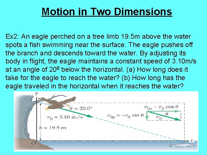 Motion in Two Dimensions Ex 2: An eagle perched on a tree limb 19.
