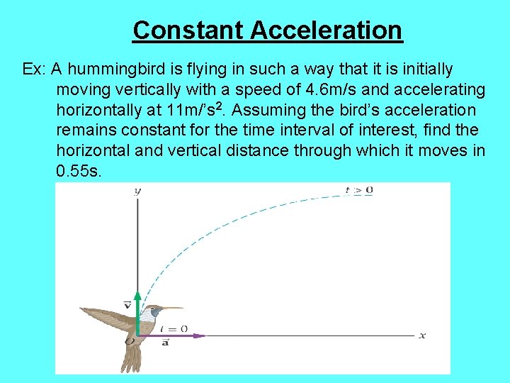 Constant Acceleration Ex: A hummingbird is flying in such a way that it is