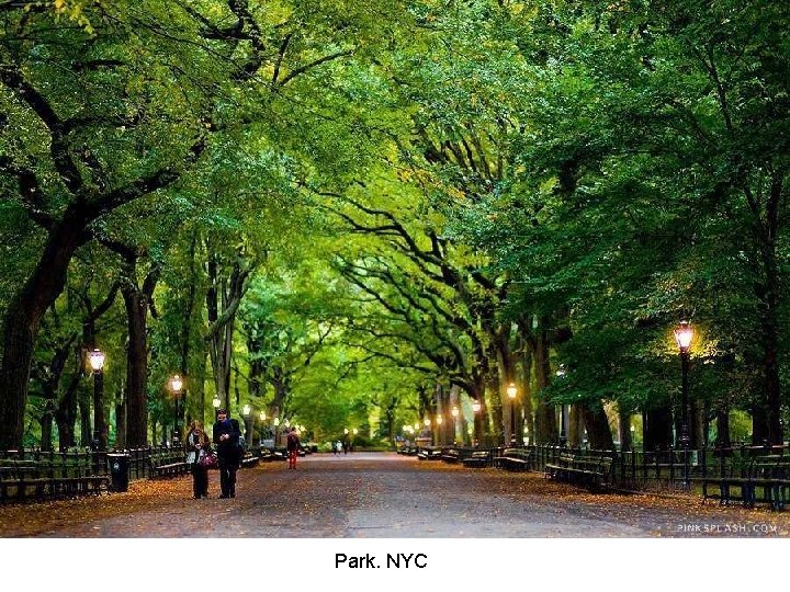 Park. NYC 