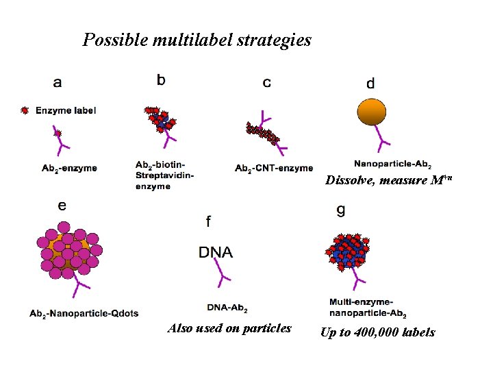Biosensor Array Strategies for Cancer Biomarker Proteins James