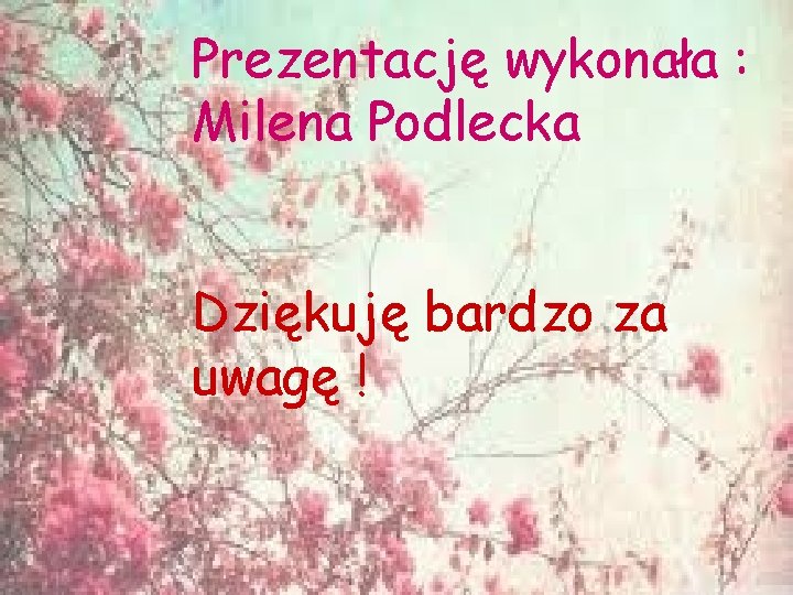 Prezentację wykonała : Milena Podlecka Dziękuję bardzo za uwagę ! 