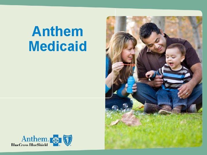 Anthem Medicaid 