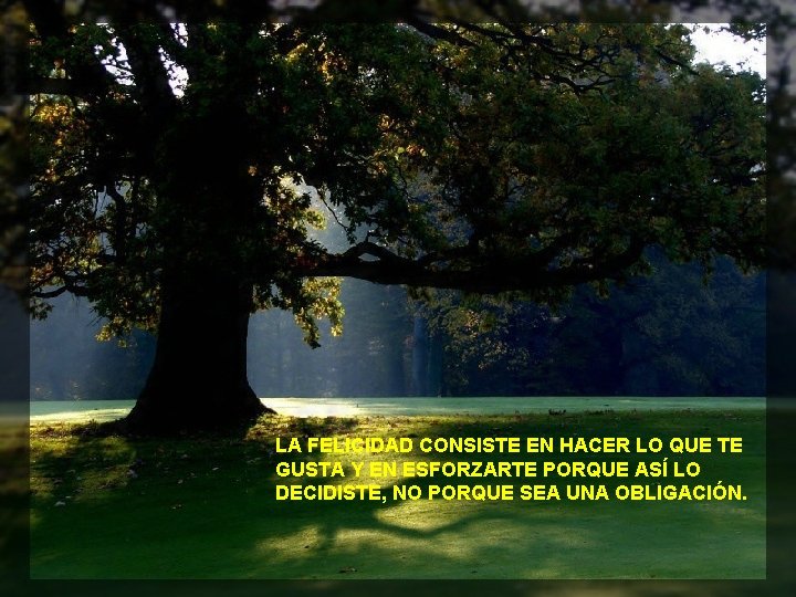 LA FELICIDAD CONSISTE EN HACER LO QUE TE GUSTA Y EN ESFORZARTE PORQUE ASÍ