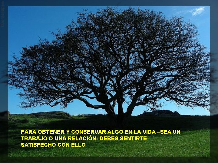 PARA OBTENER Y CONSERVAR ALGO EN LA VIDA –SEA UN TRABAJO O UNA RELACIÓN-
