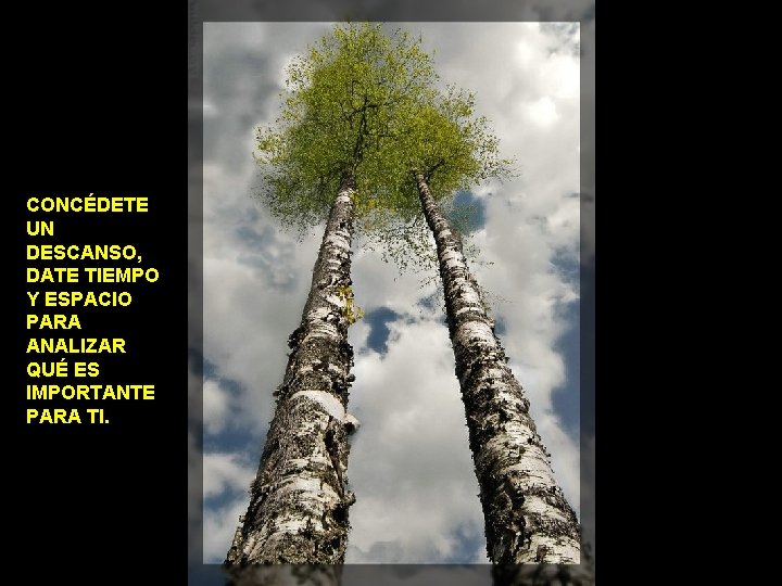 CONCÉDETE UN DESCANSO, DATE TIEMPO Y ESPACIO PARA ANALIZAR QUÉ ES IMPORTANTE PARA TI.