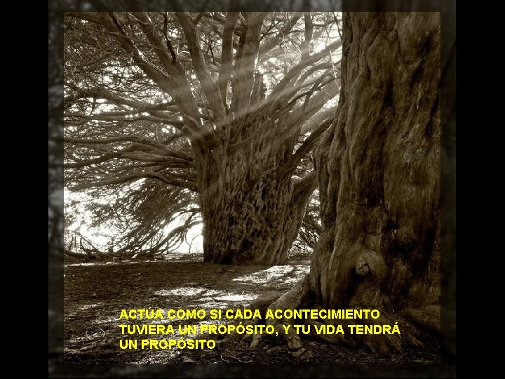ACTÚA COMO SI CADA ACONTECIMIENTO TUVIERA UN PROPÓSITO, Y TU VIDA TENDRÁ UN PROPÓSITO