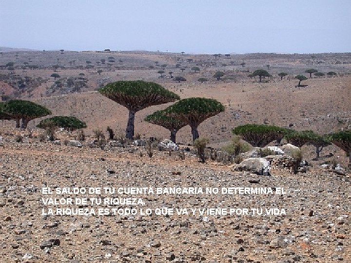 EL SALDO DE TU CUENTA BANCARIA NO DETERMINA EL VALOR DE TU RIQUEZA. LA