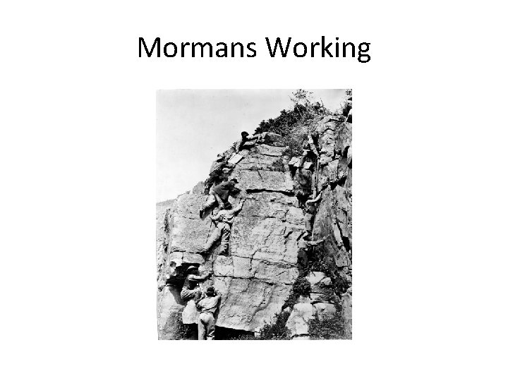 Mormans Working 