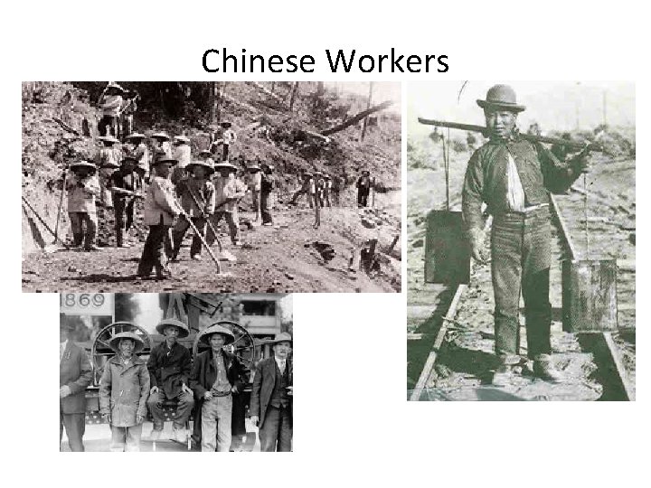 Chinese Workers 