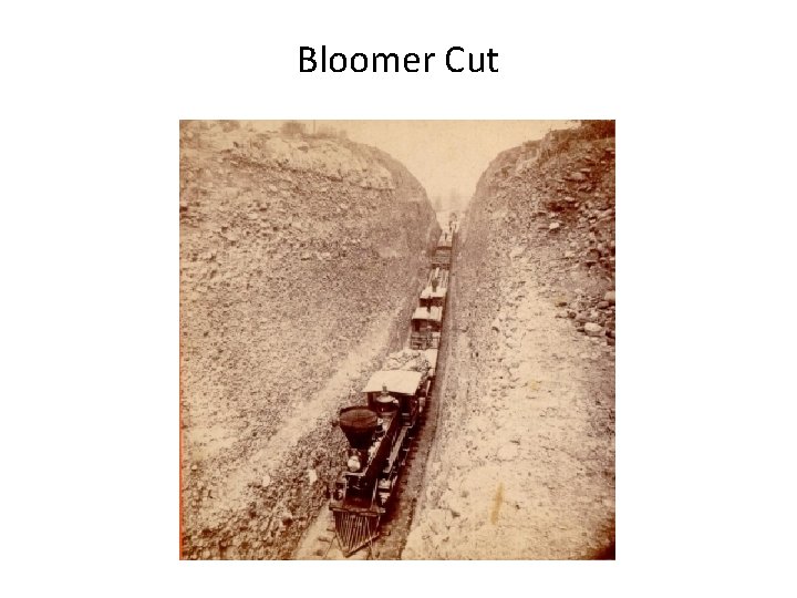 Bloomer Cut 