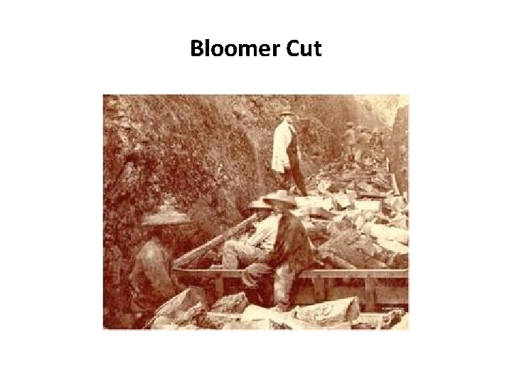 Bloomer Cut 