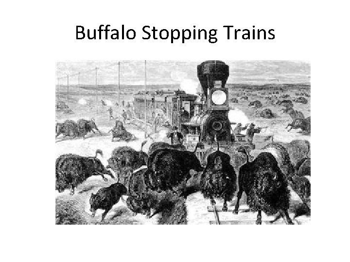 Buffalo Stopping Trains 