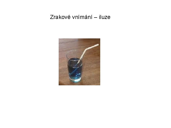 Zrakové vnímání – iluze 