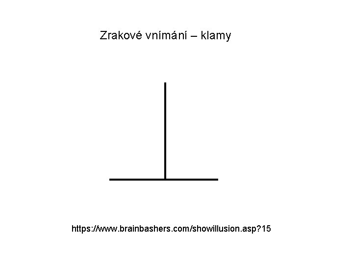 Zrakové vnímání – klamy https: //www. brainbashers. com/showillusion. asp? 15 