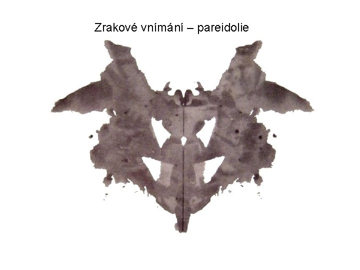 Zrakové vnímání – pareidolie 