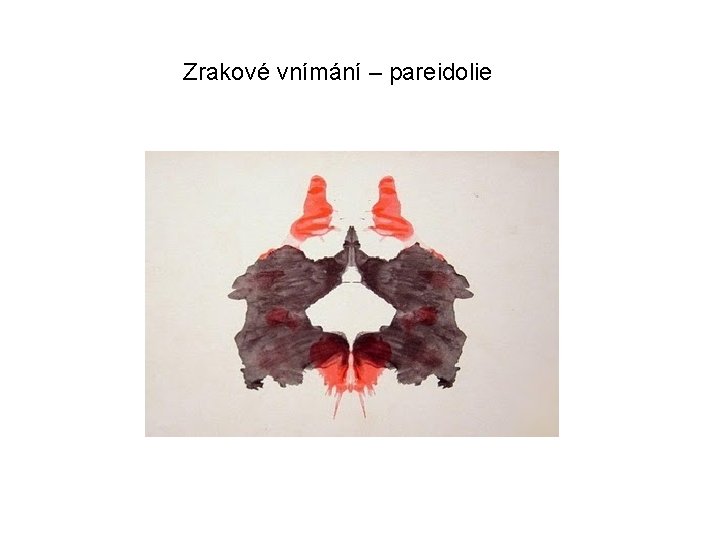 Zrakové vnímání – pareidolie 