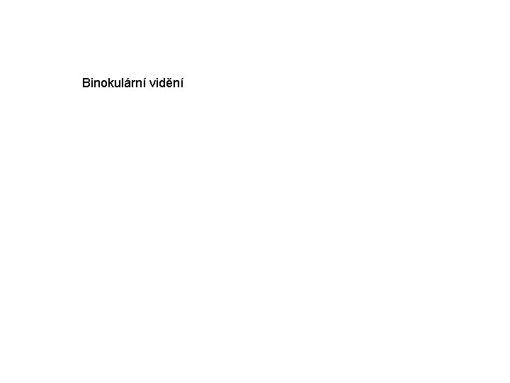 Binokulární vidění 