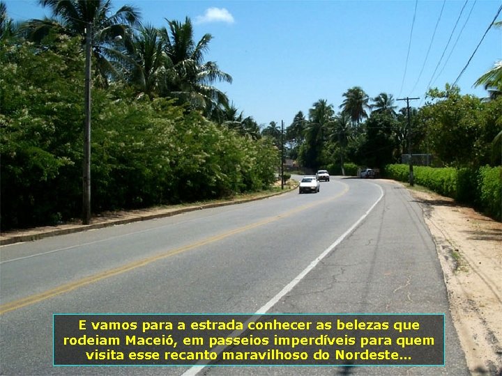 E vamos para a estrada conhecer as belezas que rodeiam Maceió, em passeios imperdíveis