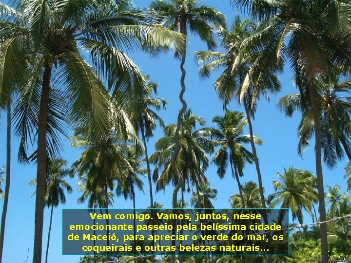 Vem comigo. Vamos, juntos, nesse emocionante passeio pela belíssima cidade de Maceió, para apreciar