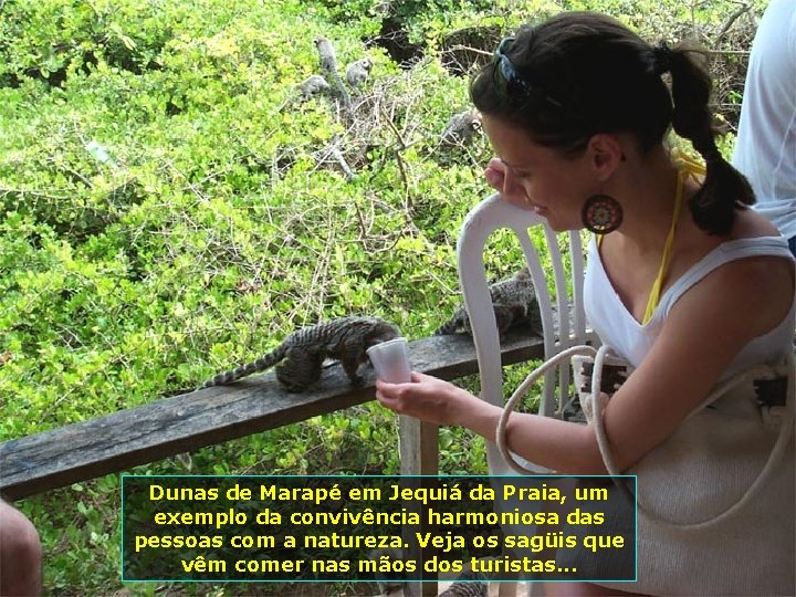 Dunas de Marapé em Jequiá da Praia, um exemplo da convivência harmoniosa das pessoas