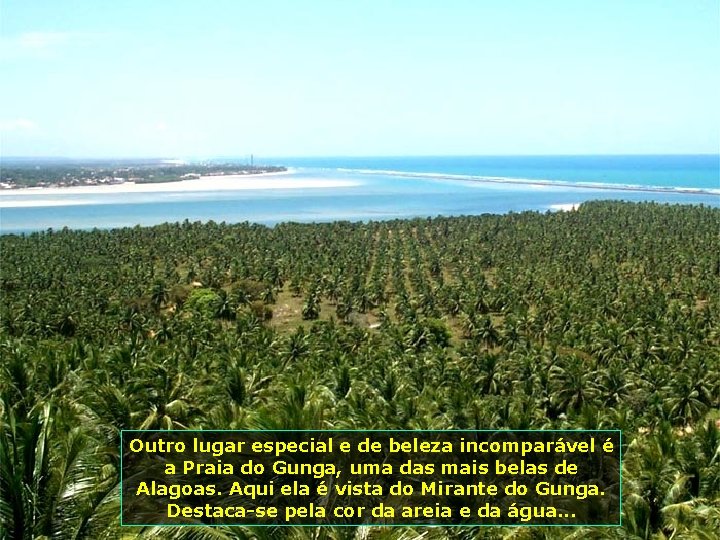 Outro lugar especial e de beleza incomparável é a Praia do Gunga, uma das