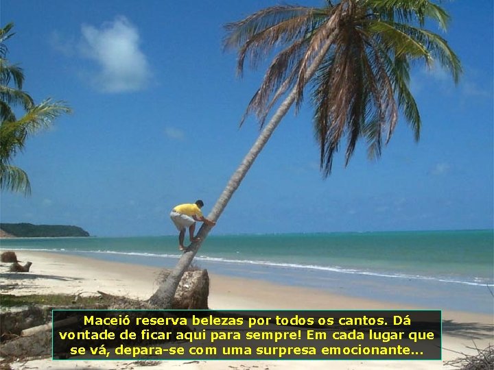 Maceió reserva belezas por todos os cantos. Dá vontade de ficar aqui para sempre!