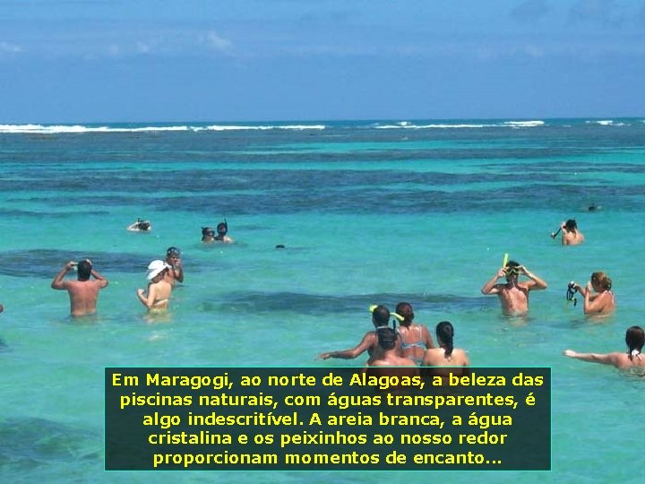 Em Maragogi, ao norte de Alagoas, a beleza das piscinas naturais, com águas transparentes,