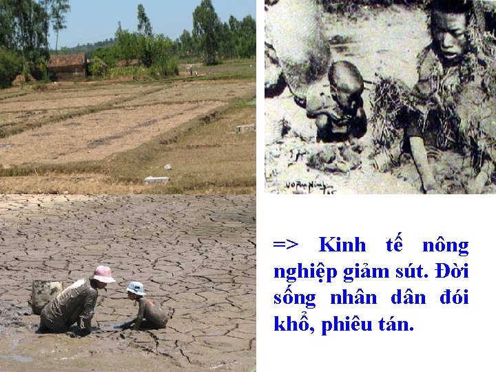 => Kinh tế nông nghiệp giảm sút. Đời sống nhân dân đói khổ, phiêu