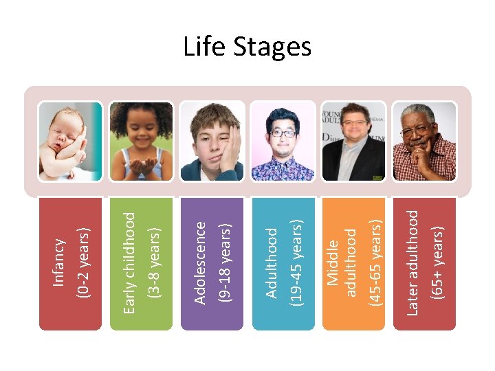Later adulthood (65+ years) (45 -65 years) Middle adulthood Adulthood (19 -45 years) Adolescence