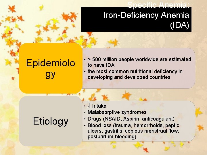 Specific Anemia: Iron-Deficiency Anemia (IDA) Epidemiolo gy Etiology • > 500 million people worldwide