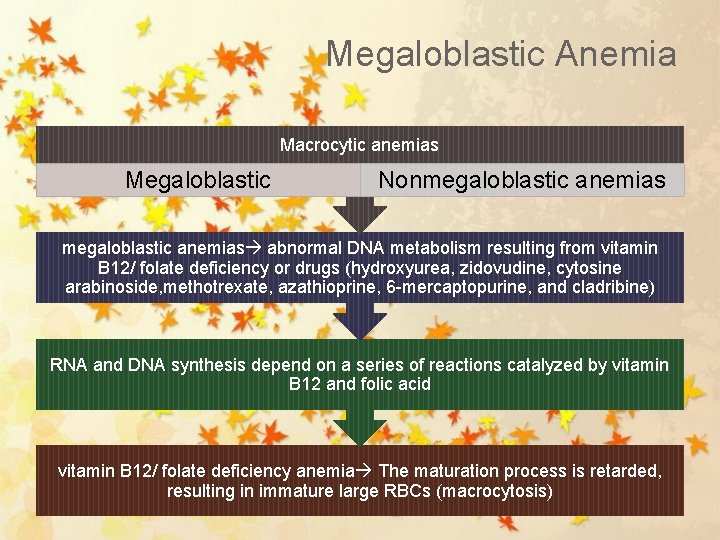 Megaloblastic Anemia Macrocytic anemias Megaloblastic Nonmegaloblastic anemias abnormal DNA metabolism resulting from vitamin B