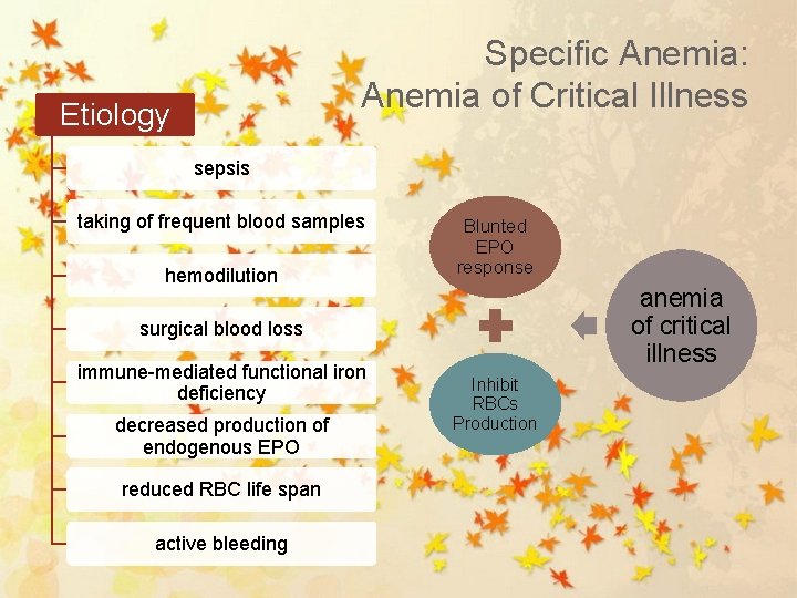 Specific Anemia: Anemia of Critical Illness Etiology sepsis taking of frequent blood samples hemodilution