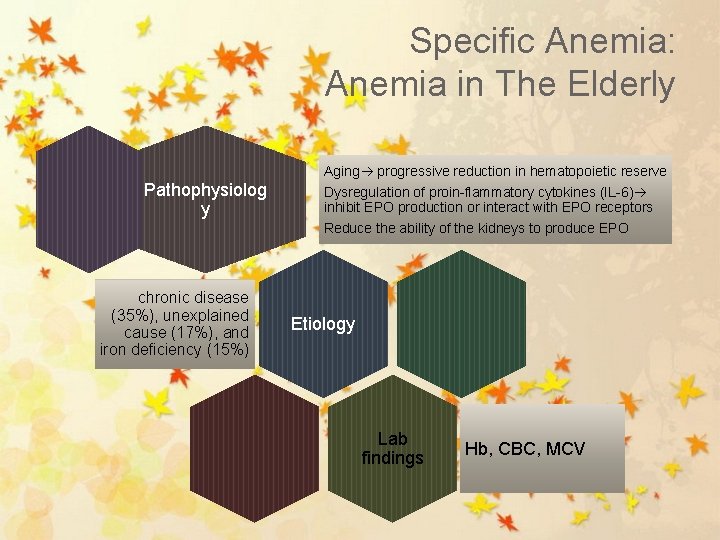 Specific Anemia: Anemia in The Elderly Aging progressive reduction in hematopoietic reserve Pathophysiolog y