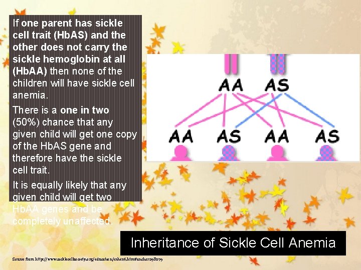 If one parent has sickle cell trait (Hb. AS) and the other does not