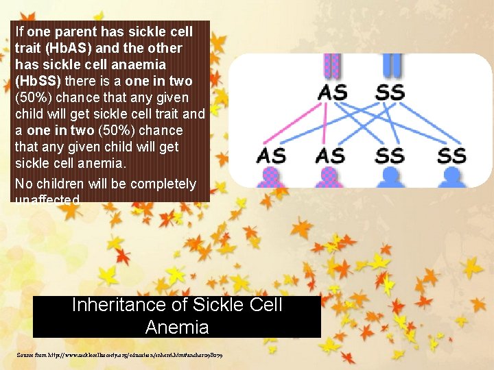 If one parent has sickle cell trait (Hb. AS) and the other has sickle