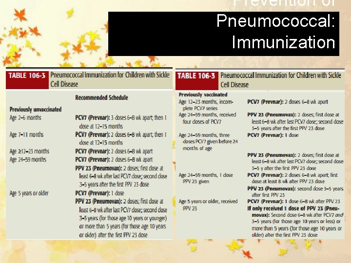 Prevention of Pneumococcal: Immunization 