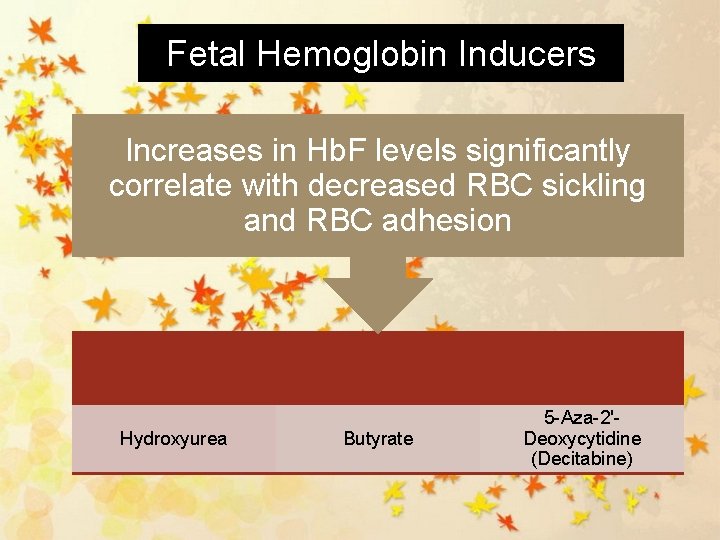 Fetal Hemoglobin Inducers Increases in Hb. F levels significantly correlate with decreased RBC sickling