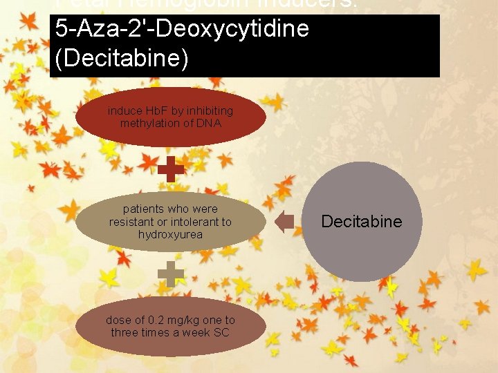 Fetal Hemoglobin Inducers: 5 -Aza-2'-Deoxycytidine (Decitabine) induce Hb. F by inhibiting methylation of DNA