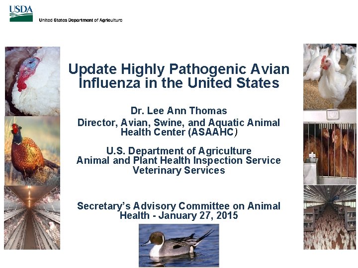 Update Highly Pathogenic Avian Influenza in the United States Dr. Lee Ann Thomas Director,