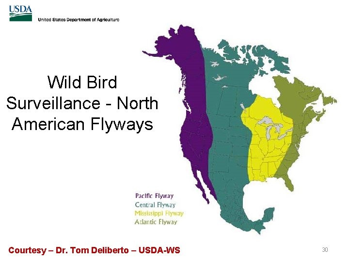 Wild Bird Surveillance - North American Flyways Courtesy – Dr. Tom Deliberto – USDA-WS