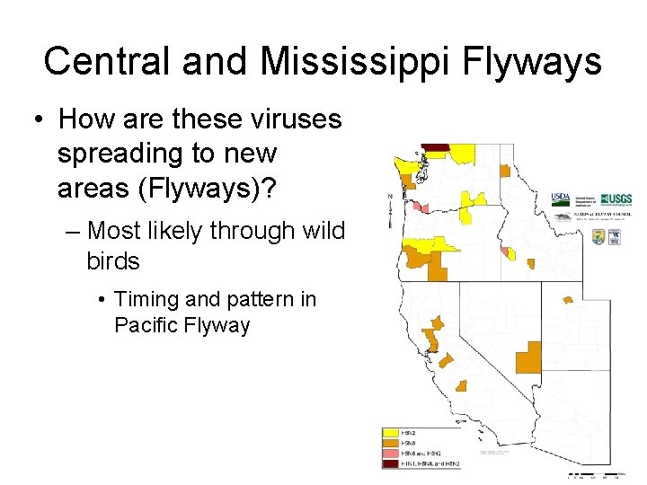 Central and Mississippi Flyways • How are these viruses spreading to new areas (Flyways)?