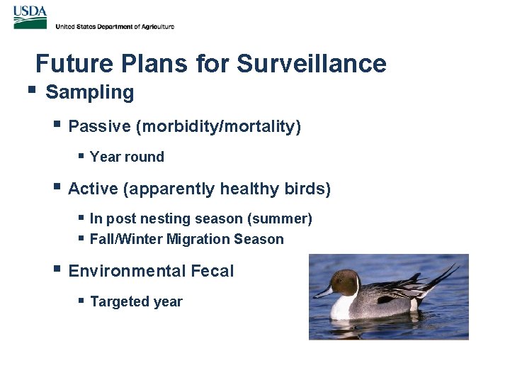 Future Plans for Surveillance § Sampling § Passive (morbidity/mortality) § Year round § Active