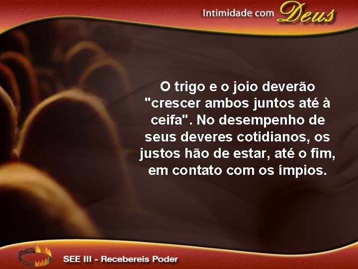 O trigo e o joio deverão "crescer ambos juntos até à ceifa". No desempenho