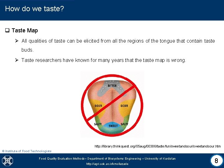 How do we taste? q Taste Map Ø All qualities of taste can be